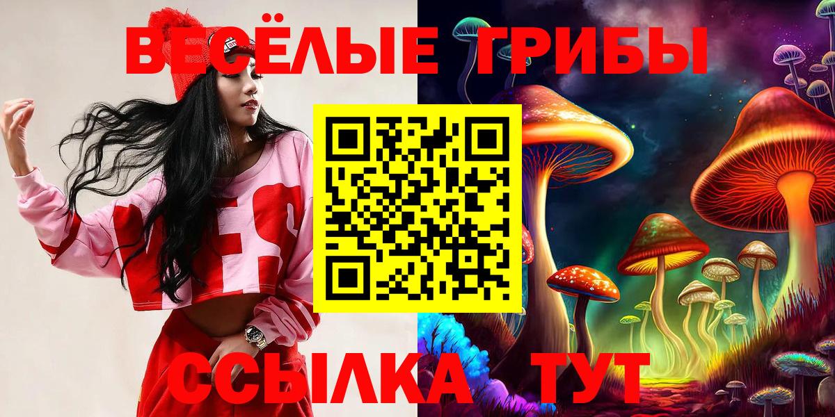 Псилоцибиновые грибы Psilocybe Таганрог