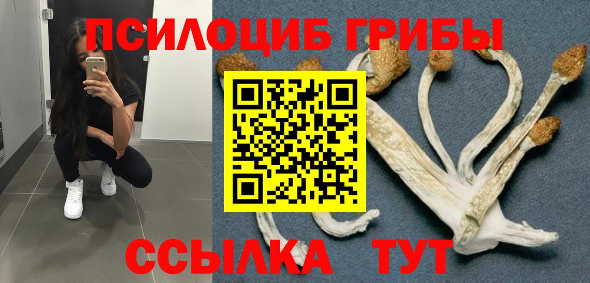 Галлюциногенные грибы Magic Shrooms  Вход с VPN  Таганрог 